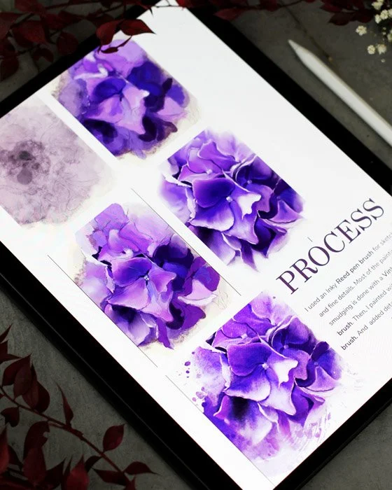 Digital botanical painting step by step hydrangea in procreate