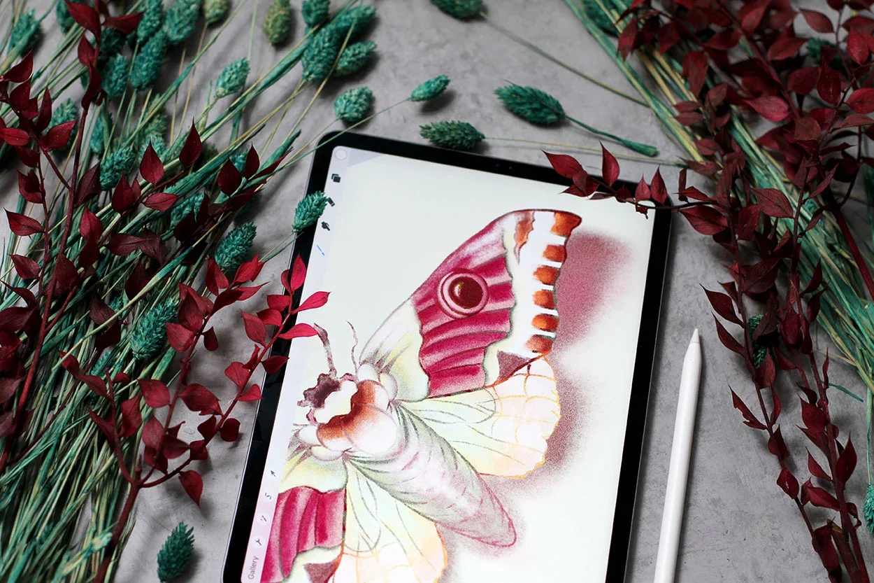 Realistic moth digital artwork in procreate