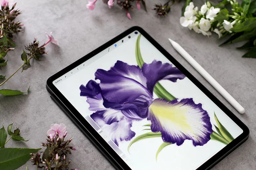 Digital Botanical Painting Iris in Procreate iPad