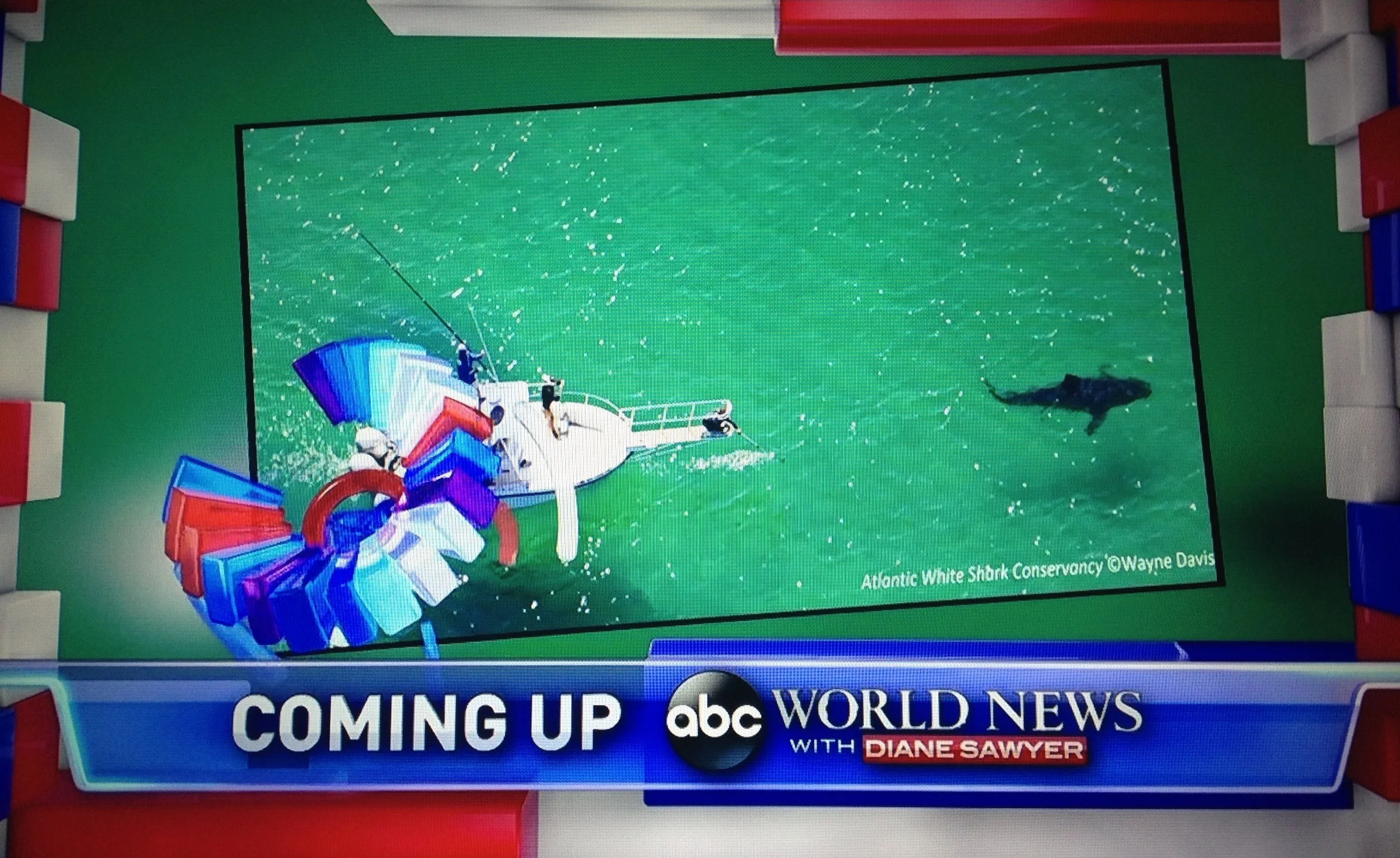 Atlantic White Shark Conservancy on ABC World News with Diane Sawyer.