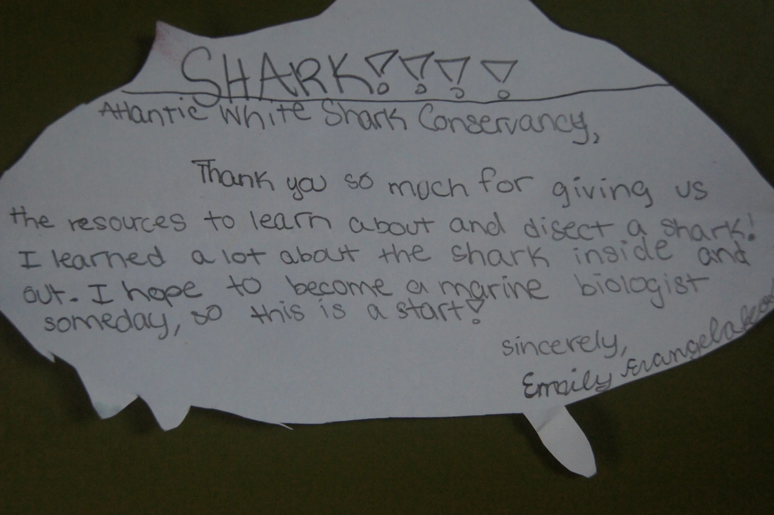 Thank you note from a child who attended Mass Audubon camp through our scholarship program.