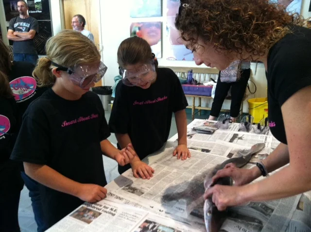 Gills Club co-founder, Dr. Heather Marshall walking members through a dogfish dissection at the Cape Cod Museum of Natural History.
