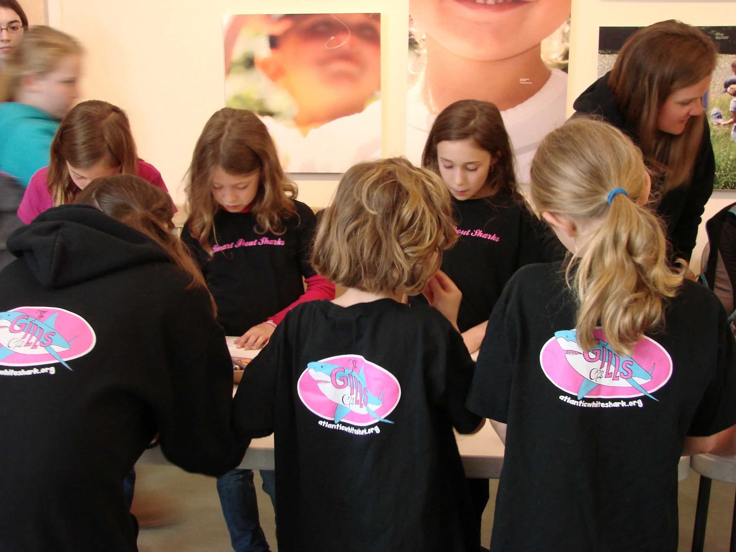 Shark Conservancy Announces New Group for Girls: The Gills Club