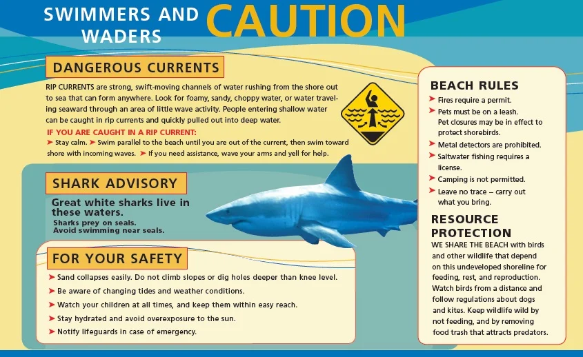 SHARK SEASON: South Shore urged to join effort to monitor great whites