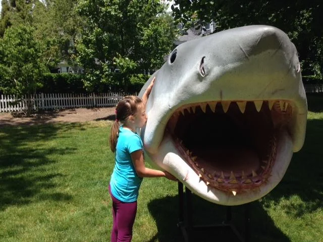 Chatham Fest Combines Shark Ed and Fun