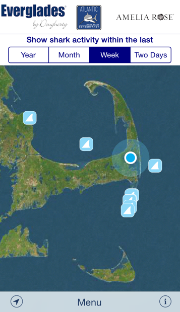 Great white shark tracking goes mobile