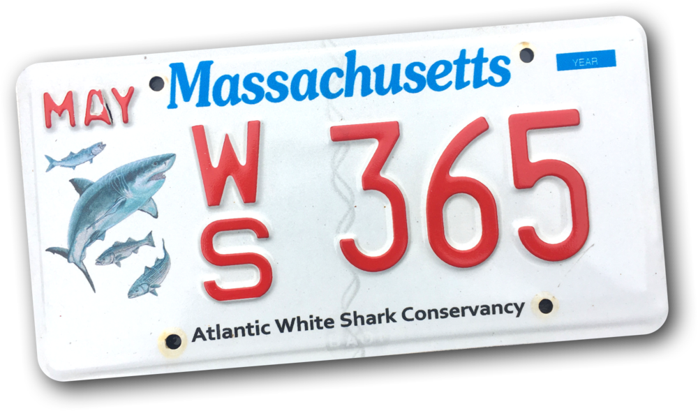 Shark Conservancy Plates — AWSC