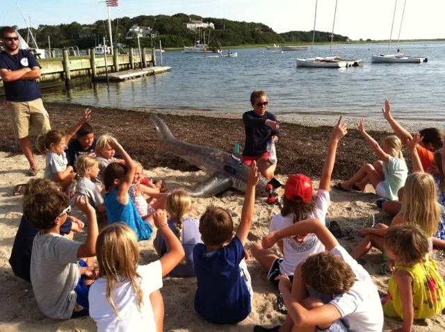 AWSC shark education program at the Stage Harbor Yacht Club.jpeg