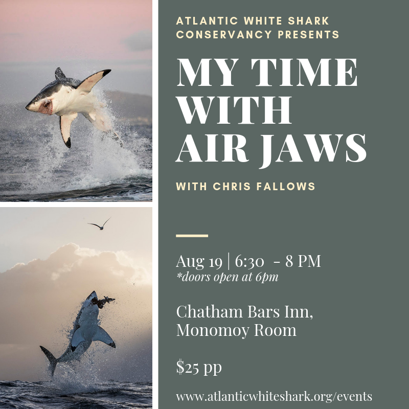 My Time with Air Jaws with Chris Fallows.png