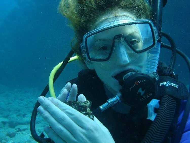 DR. TRICIA MEREDITH University of Miami