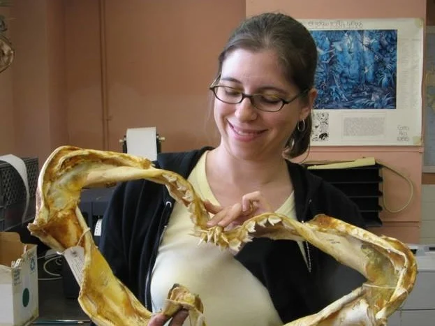 DR. LISA WHITENACK Allegheny College