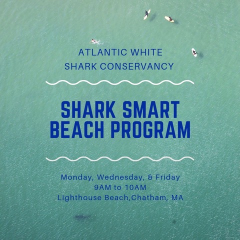Shark+Smart+Insta+FINAL+1.jpeg