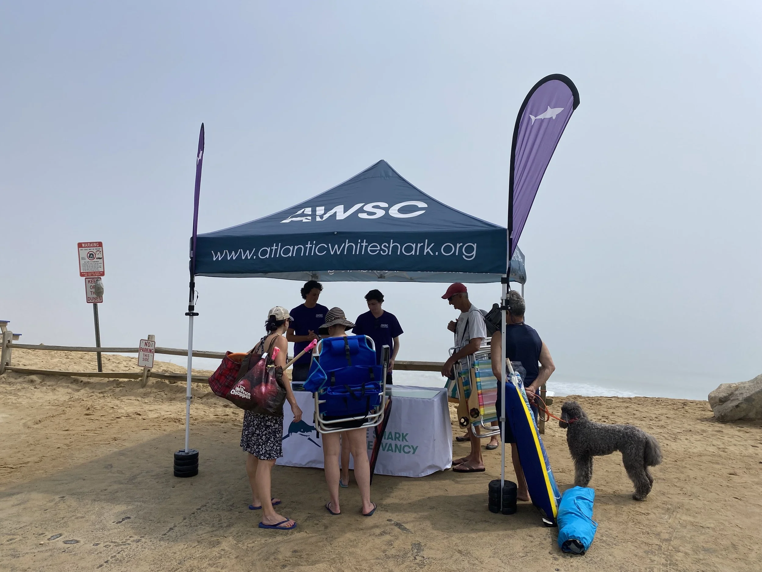 Awsc Logo Internships at White Shark Conservancy — AWSC