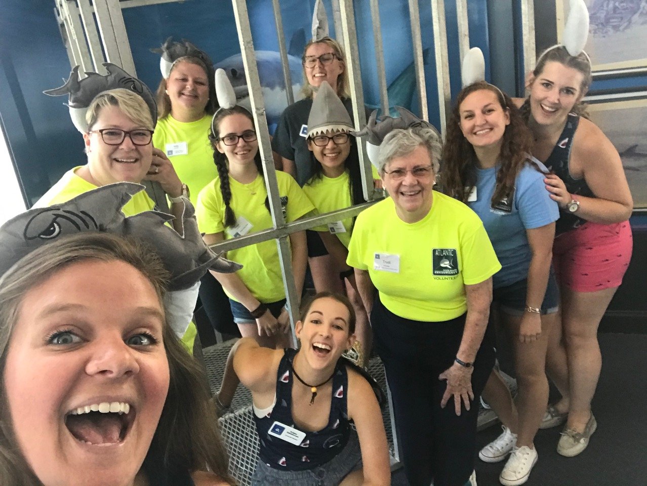 Awsc Logo Volunteer with White Shark Conservancy — AWSC