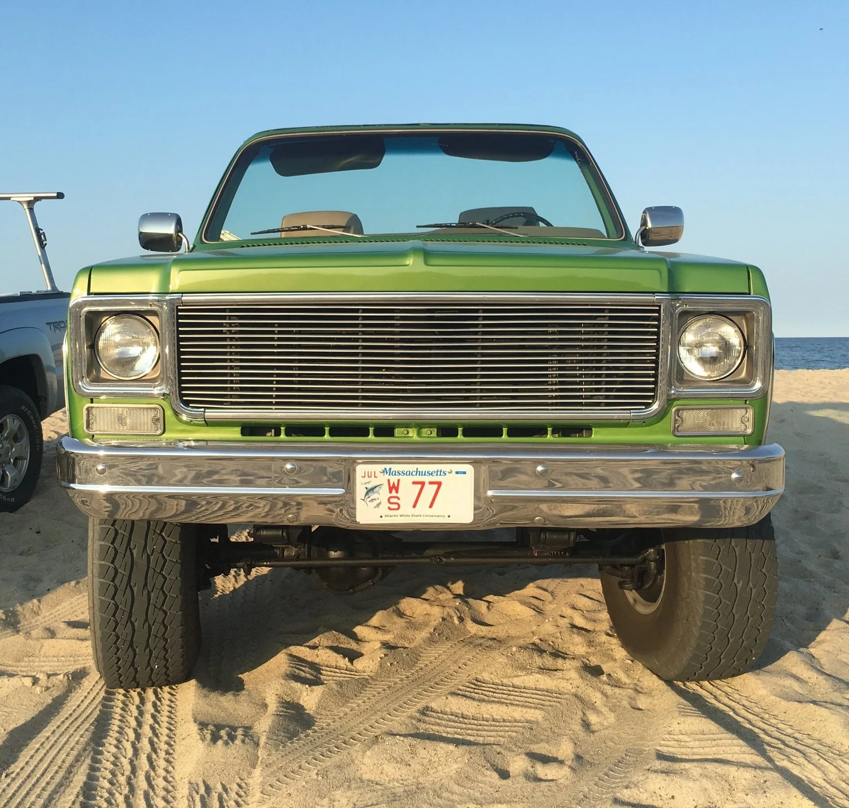 Atlantic White Shark Conservancy