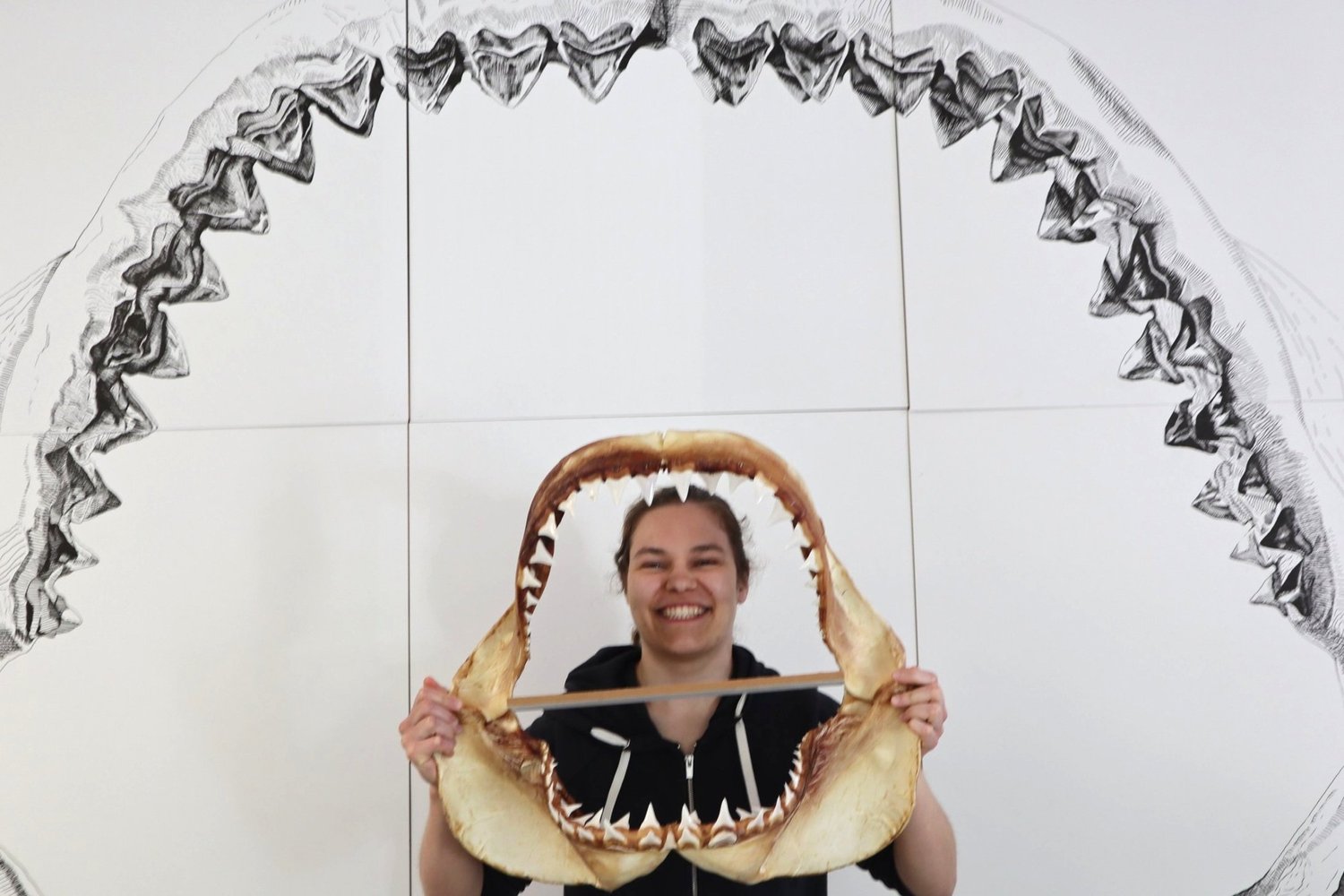 Internships at White Shark Conservancy — AWSC