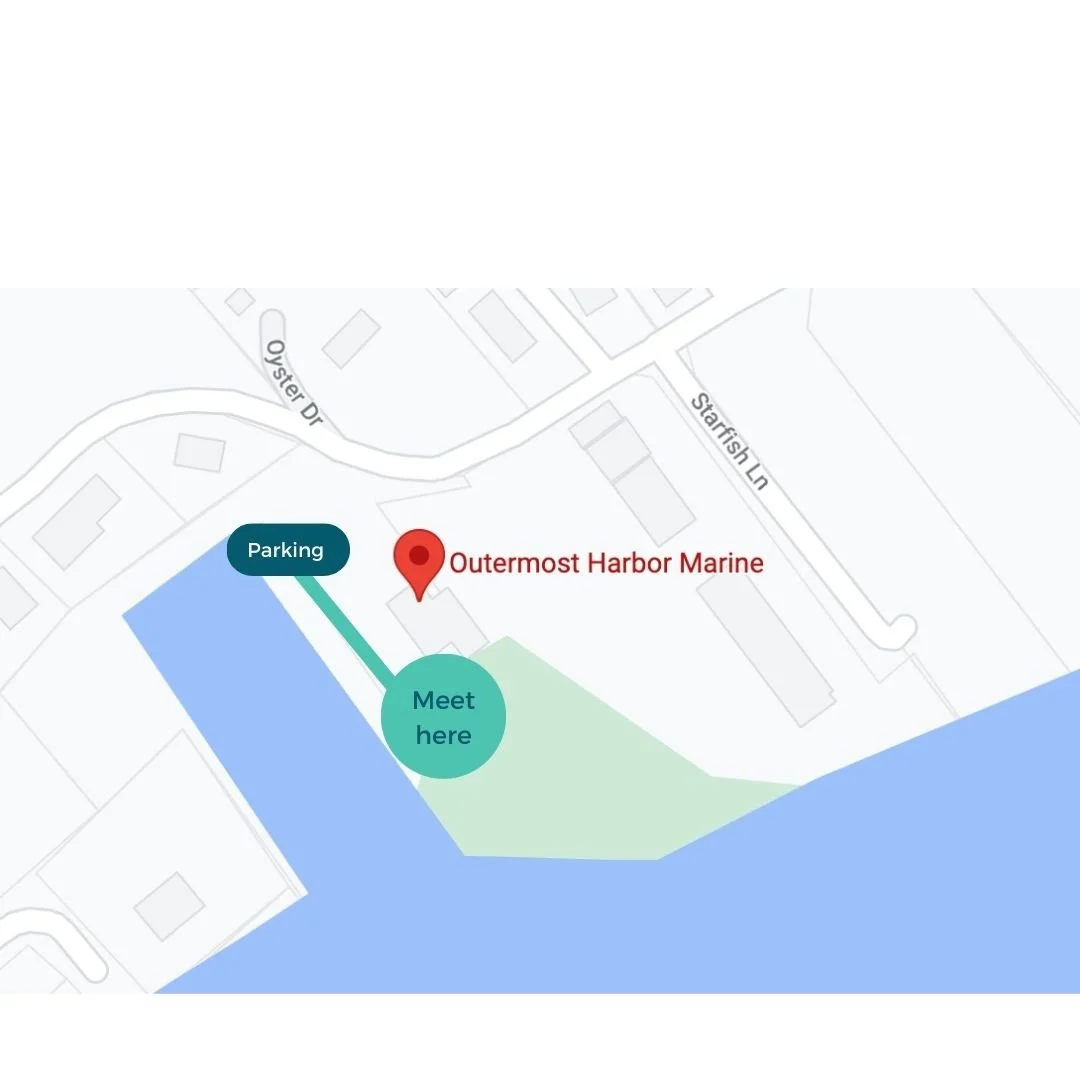 Trip Details Outermost Harbor Marine AWSC trip-details-outermost-harbor-marine-awsc