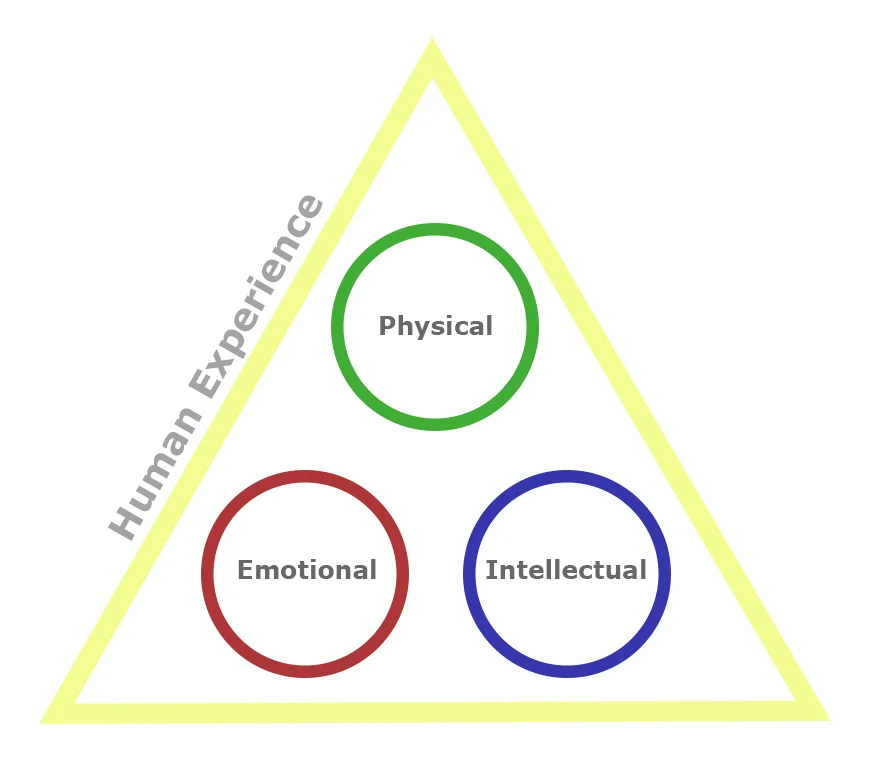 Main image.jpg