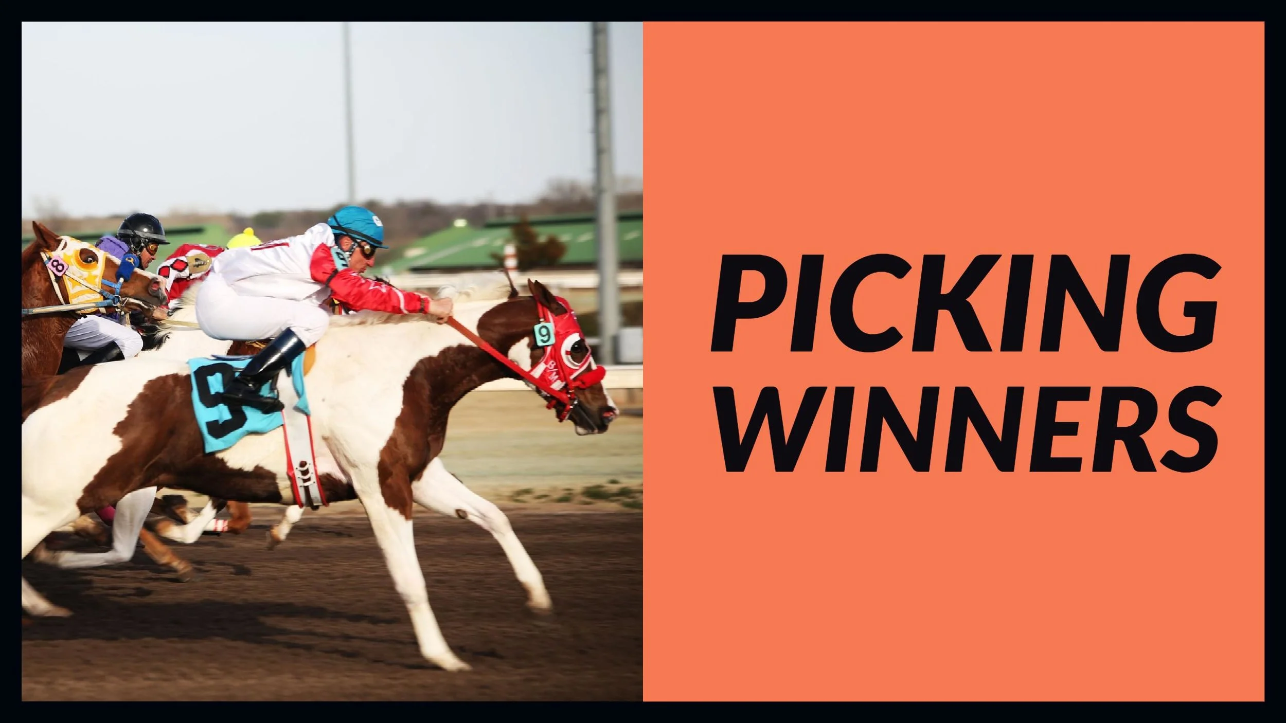 Picking Winners.jpg
