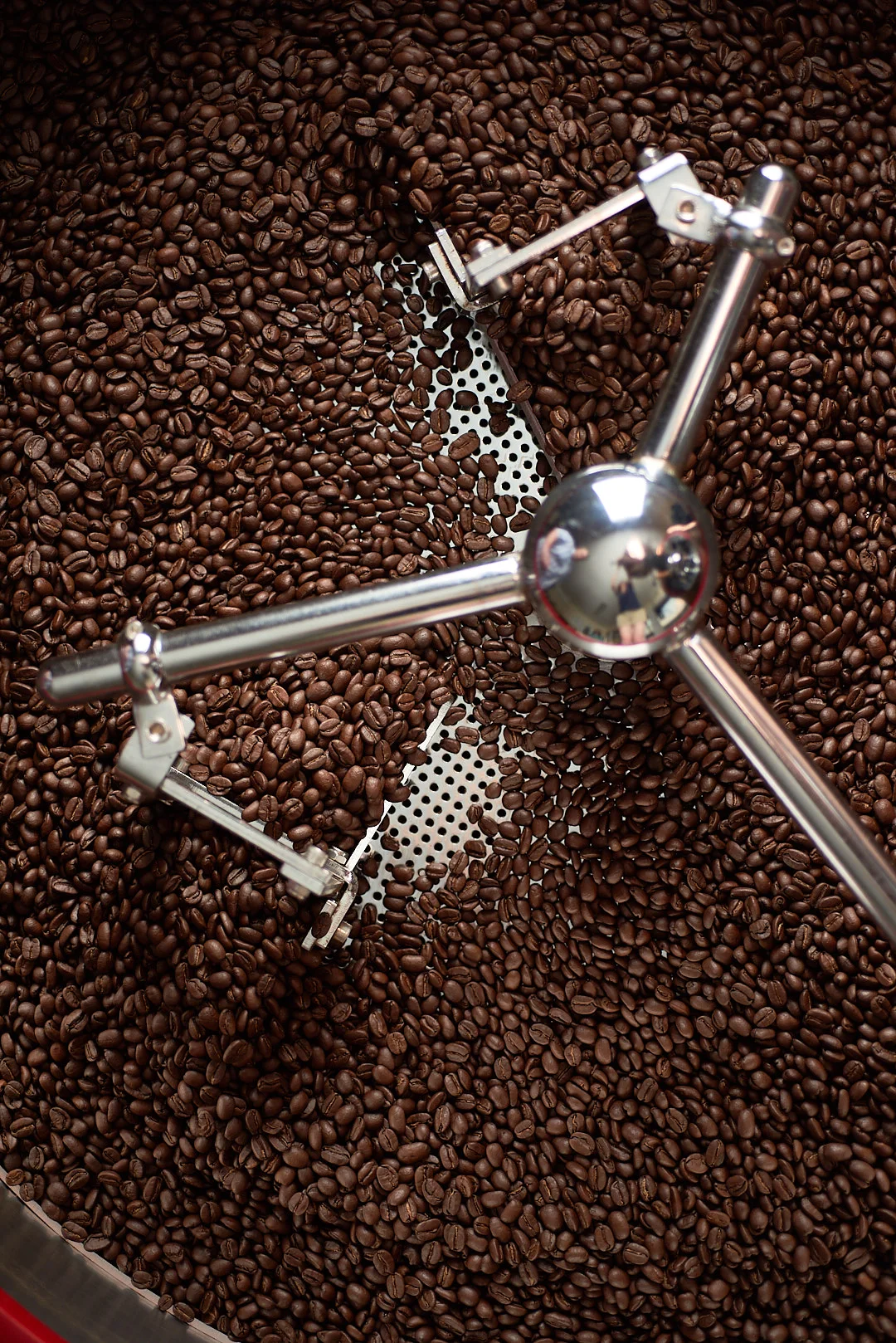 Cooled Coffee Beans | Amy Roth Photo