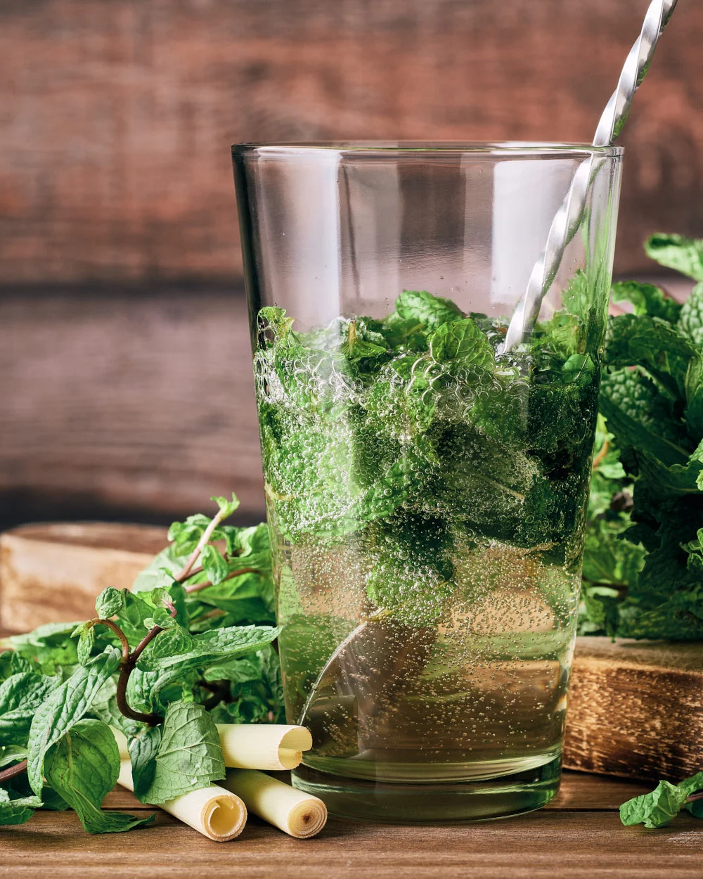 Mojito | Amy Roth Photo