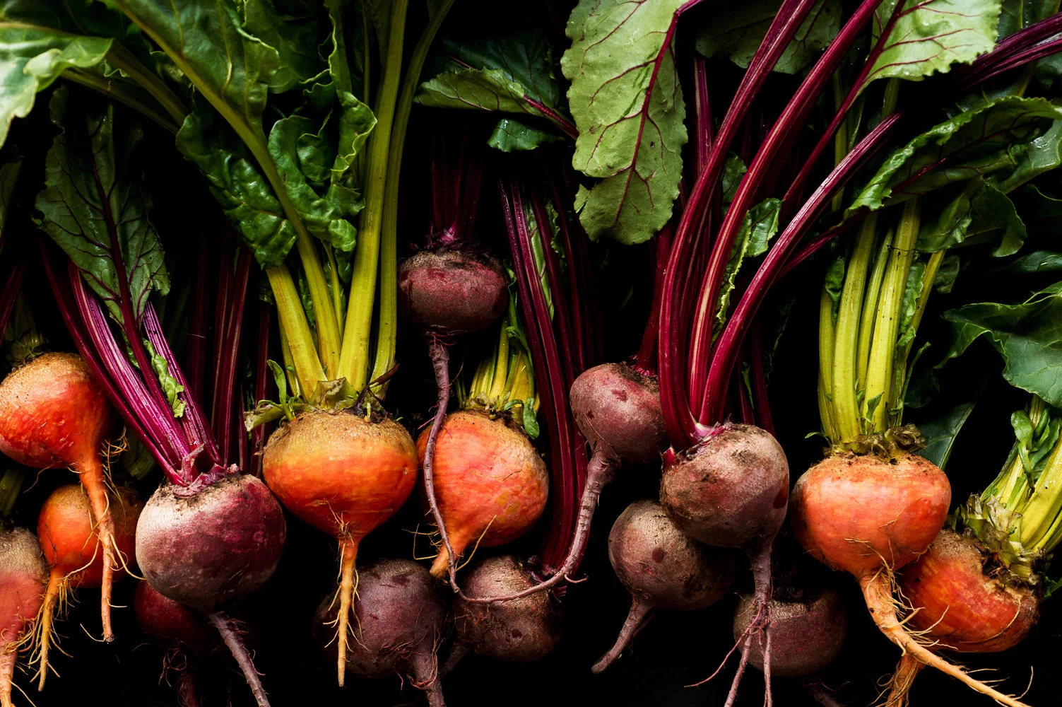 Still life with beets | Amy Roth Photo