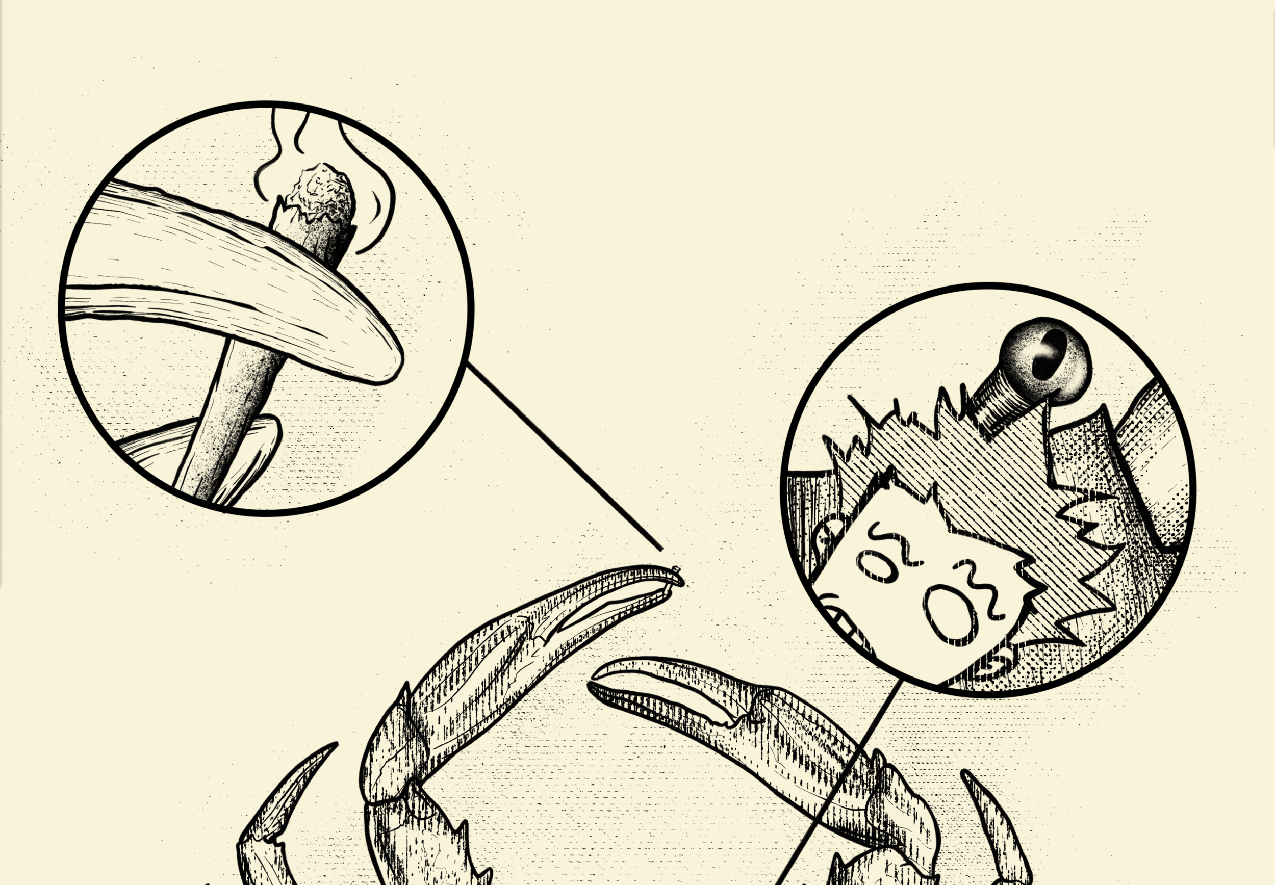 Screen Shot 2020-10-26 at 9.47.14 AM.png