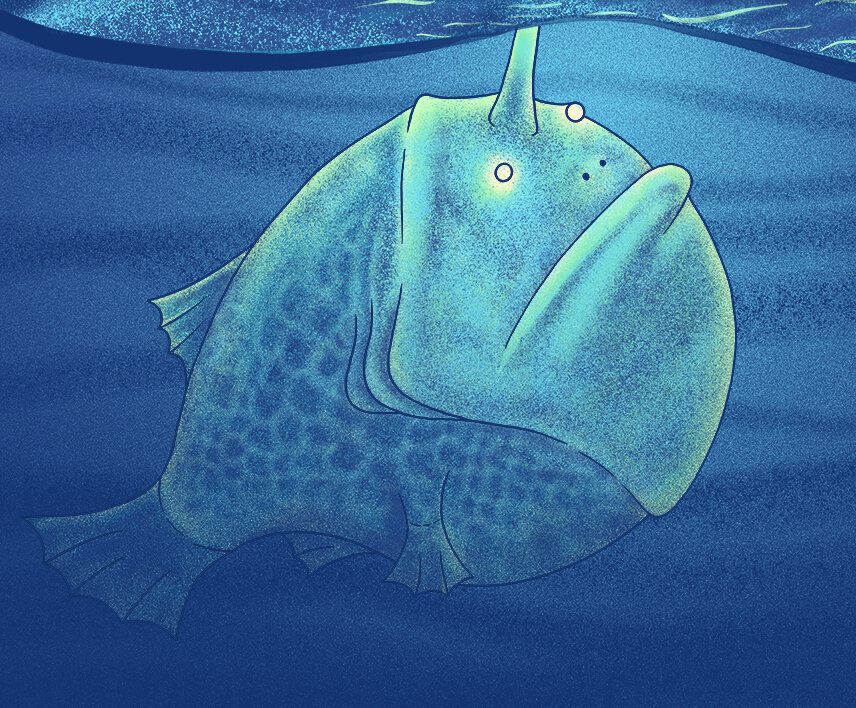 Boy&Fishweb3.jpg