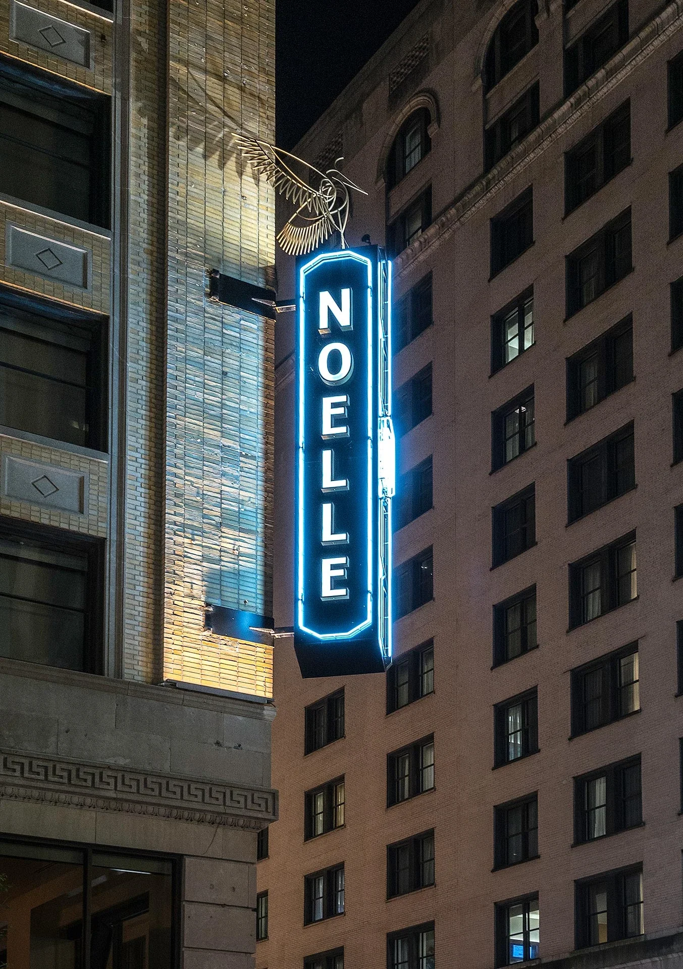 noelle-15.webp