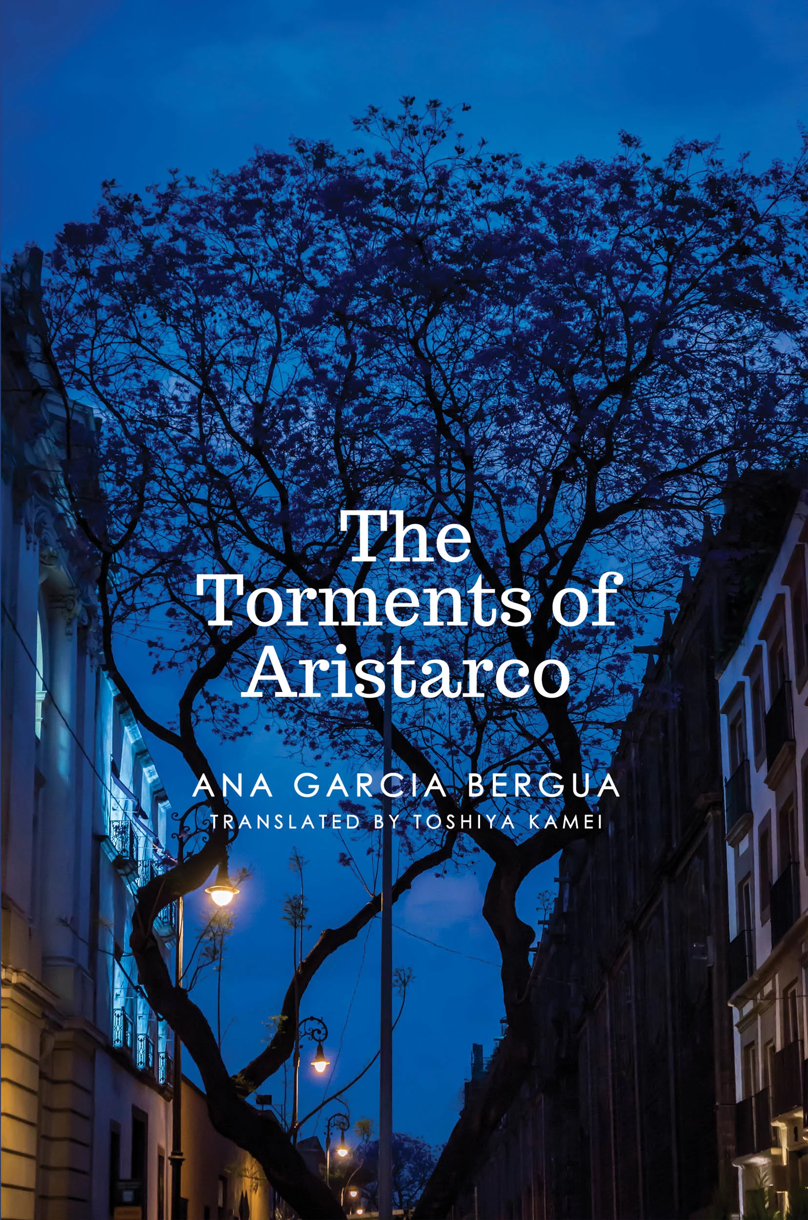 The Torments of Aristarco eimage.jpg