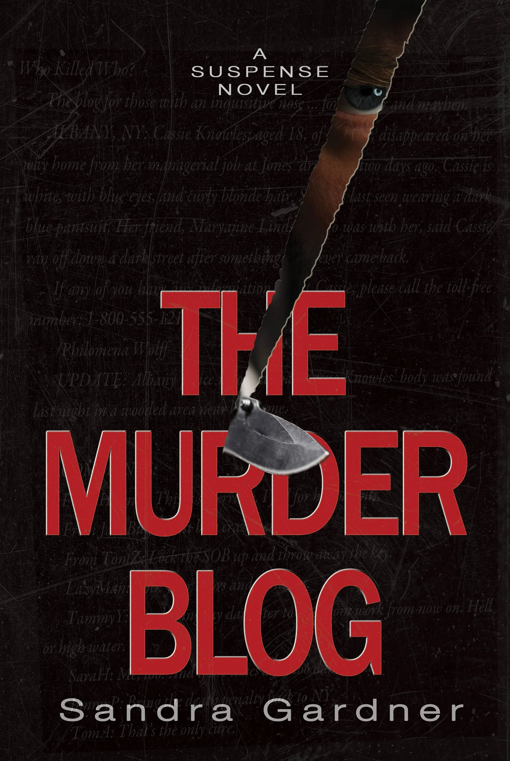 The Murder Blog: A Suspense Novel