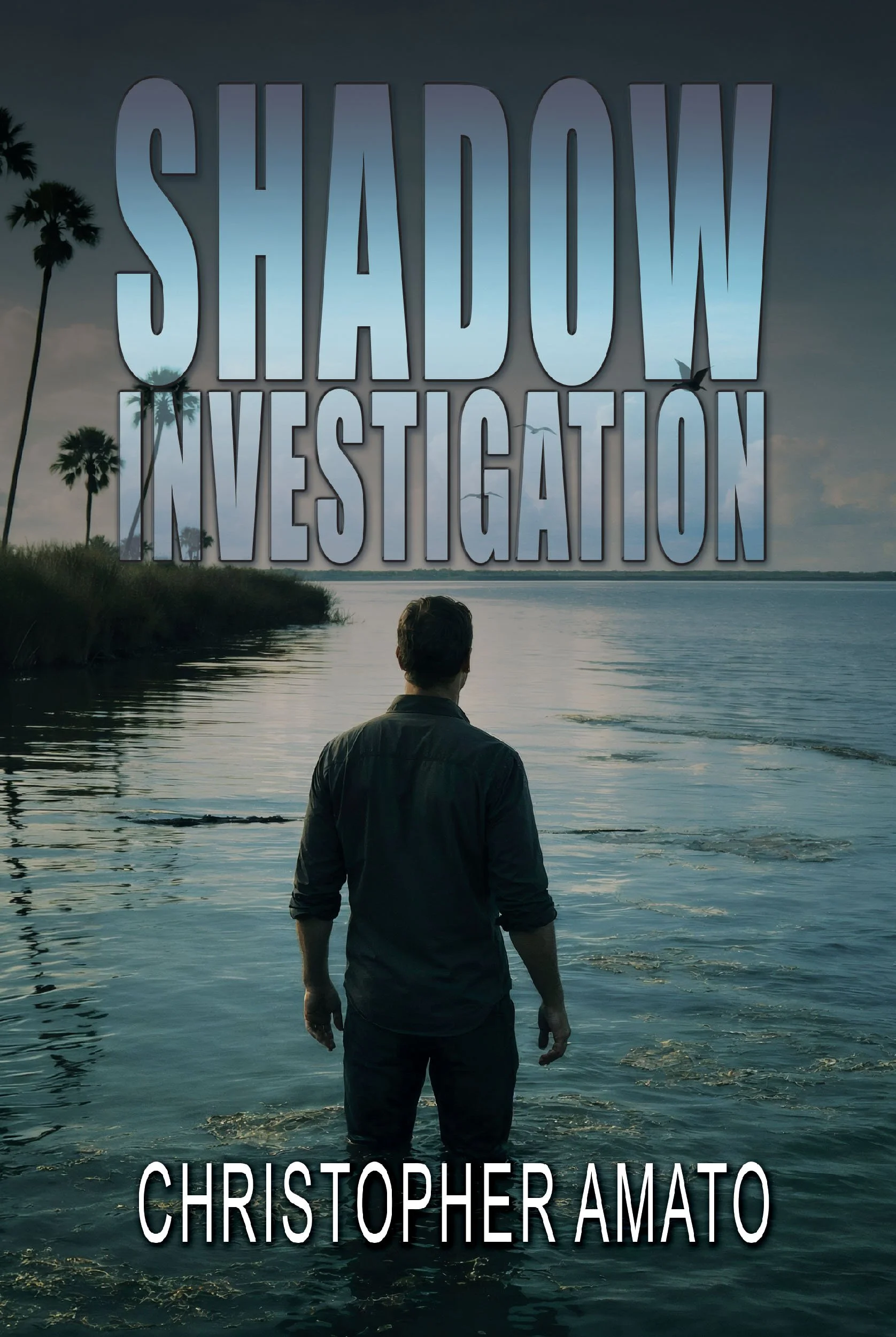 Shadow Investigation