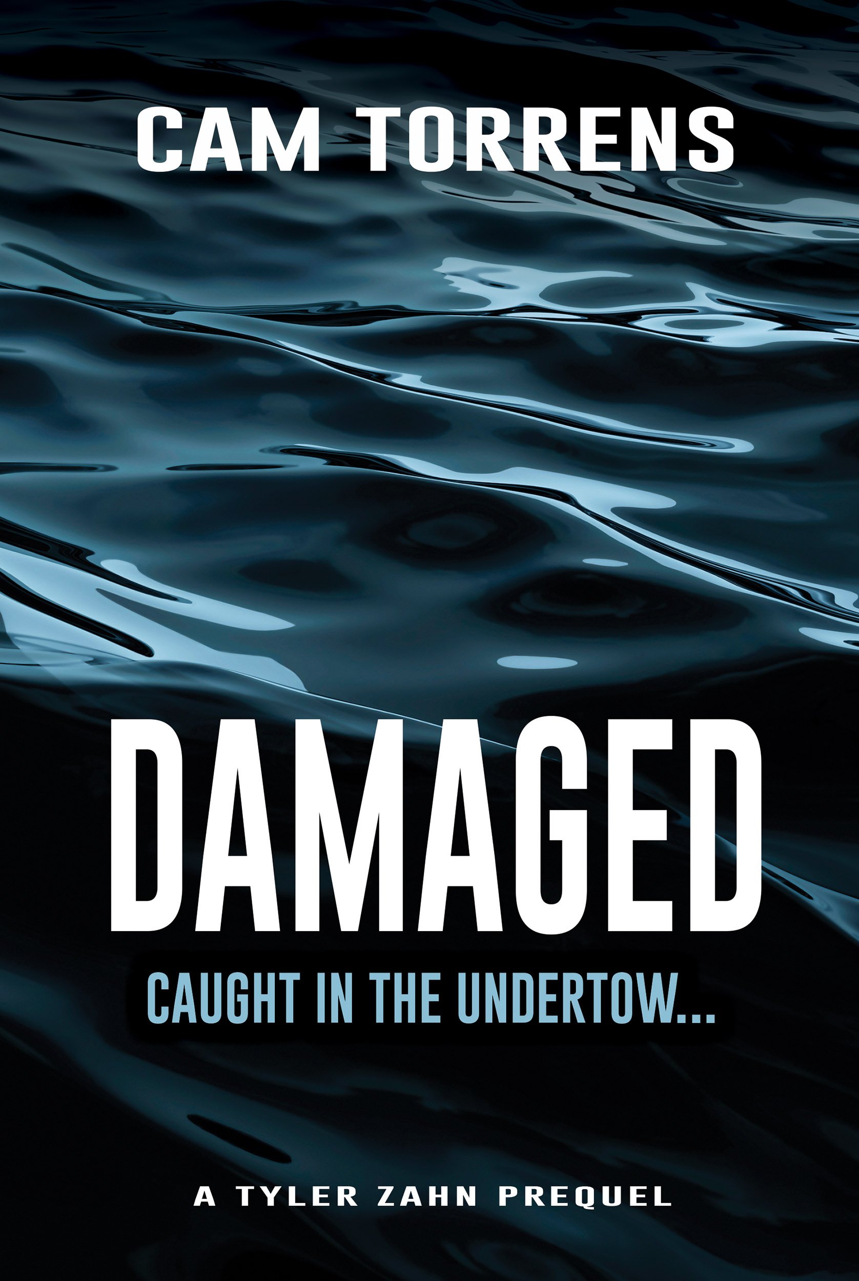 DAMAGED eimage.jpg