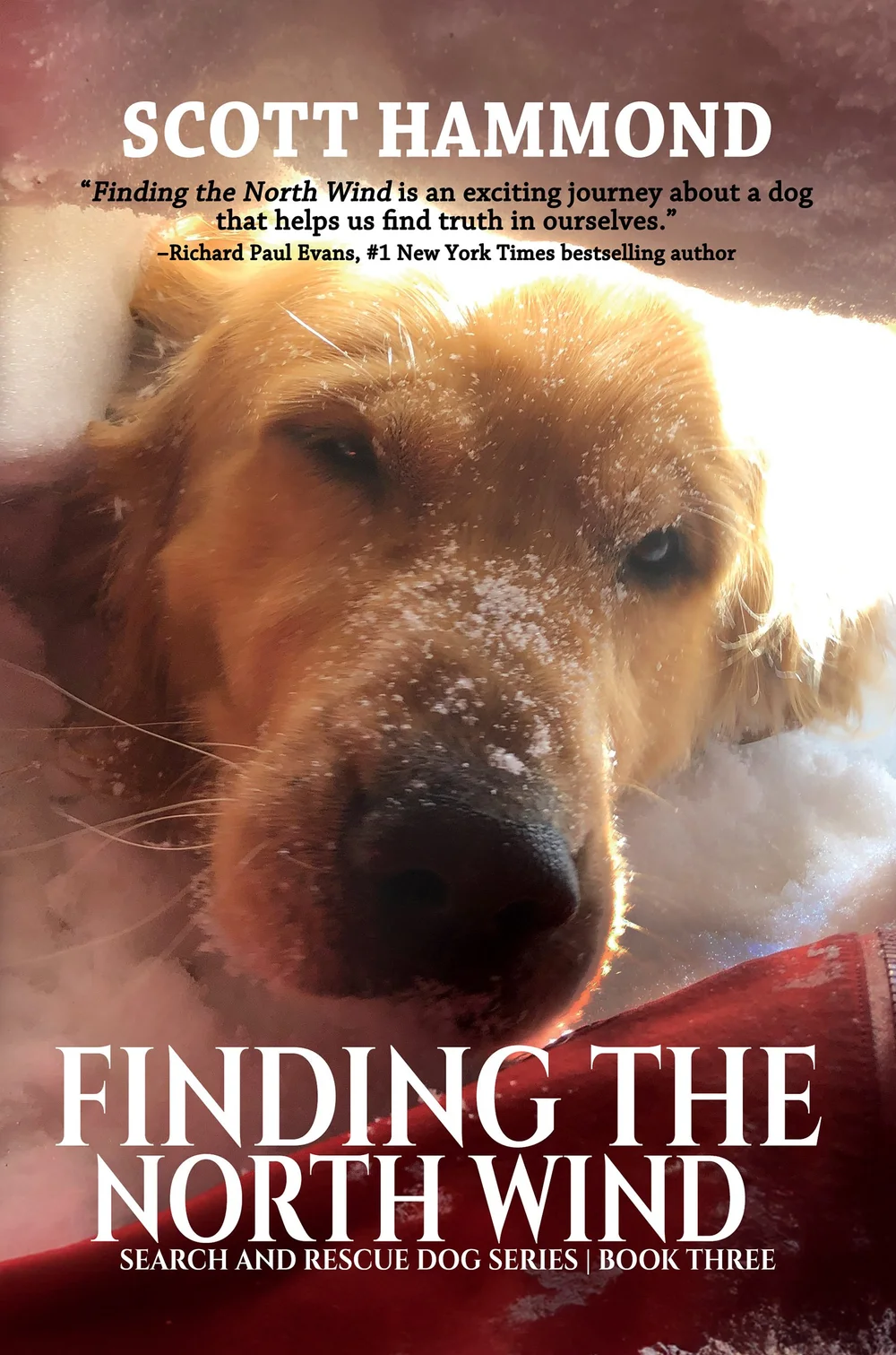Finding the North Wind: Search and Rescue Dog Series, Book III