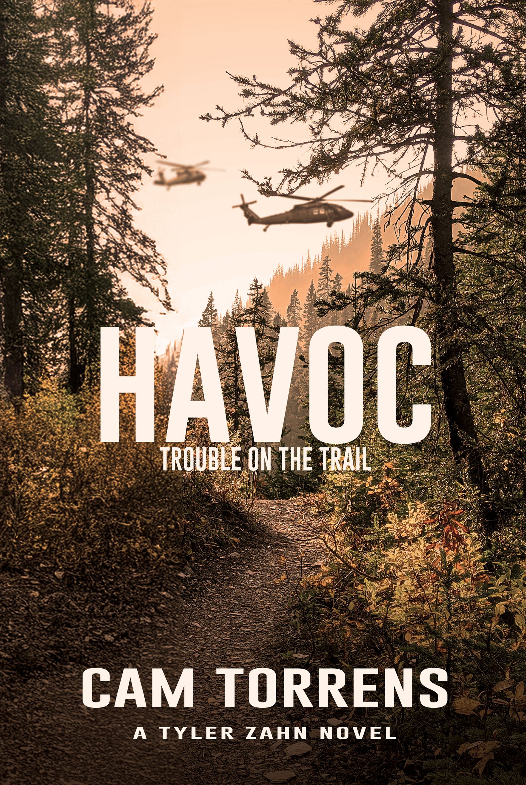 HAVOC eimage.jpg