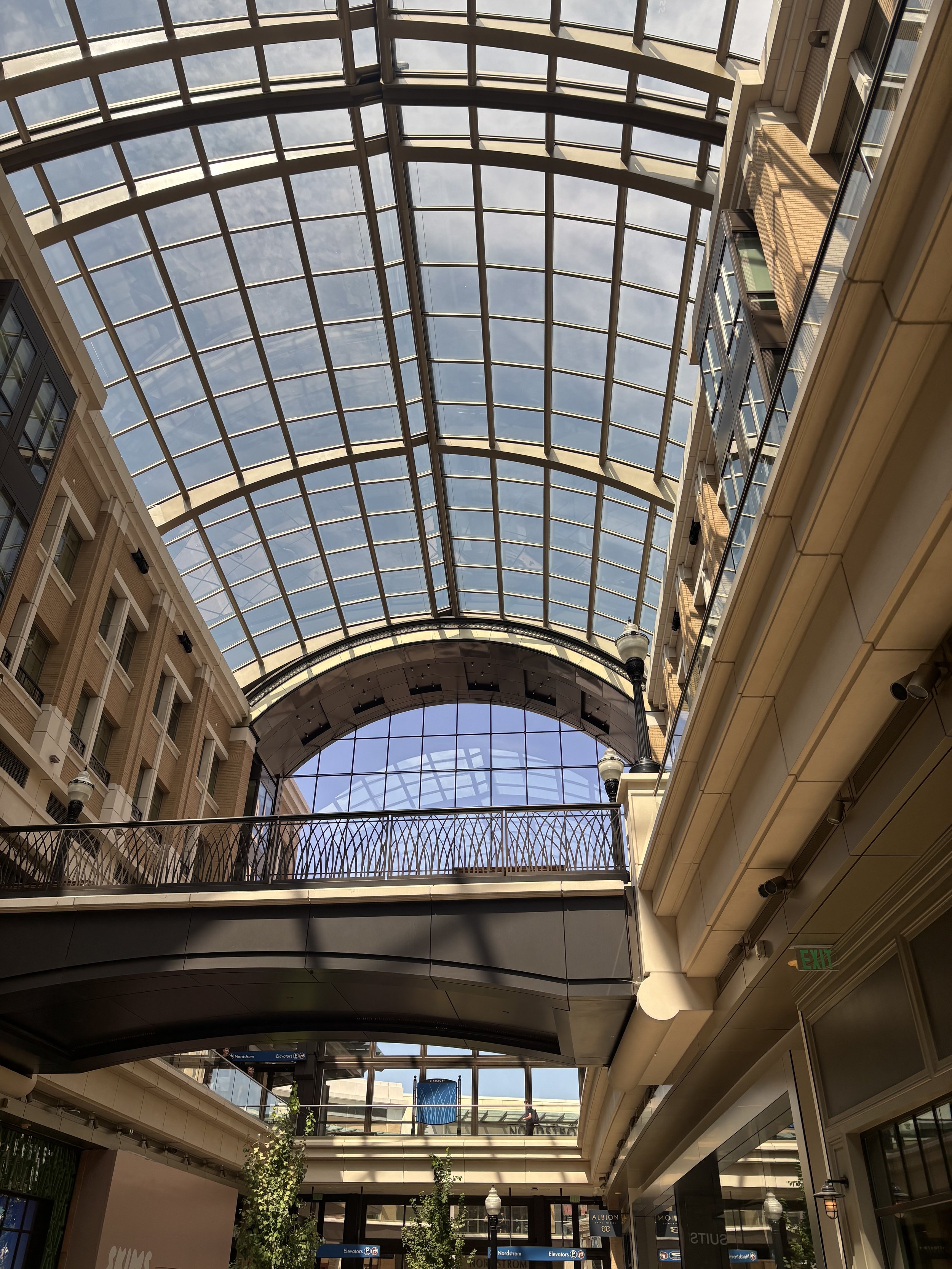 IMG_1931.jpeg