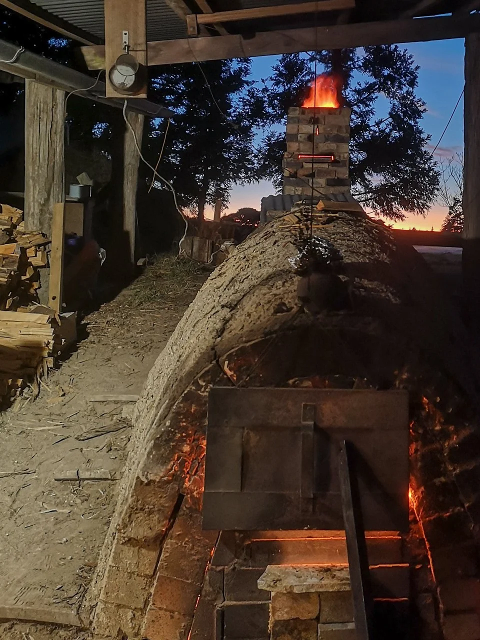 Ellie Woods_New Zealand Photos_2025_02.jpg