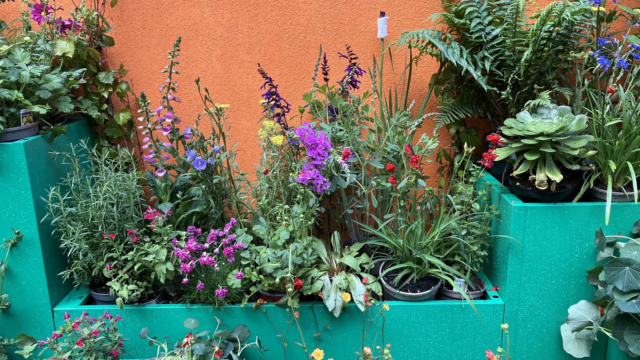 Chelsea Secret Garden 1.jpeg