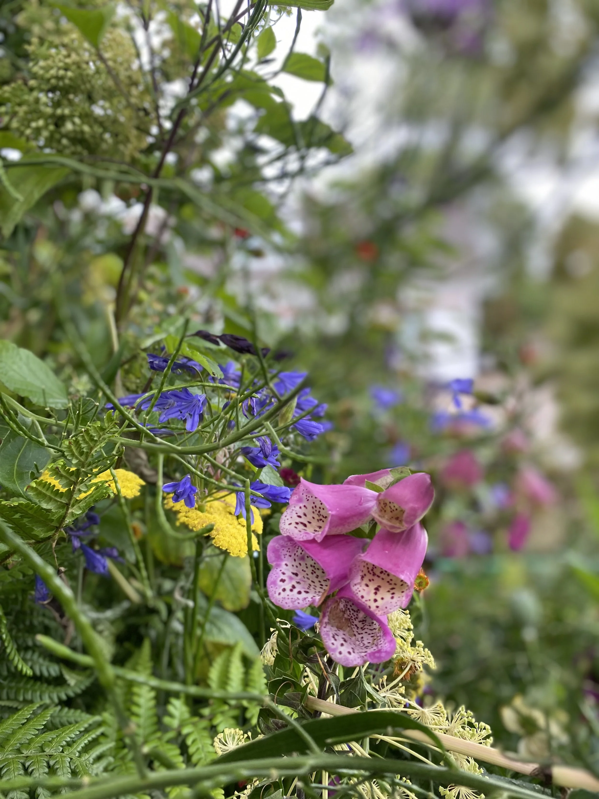 Chelsea Flower Show Delivery 5 JUN26.jpg