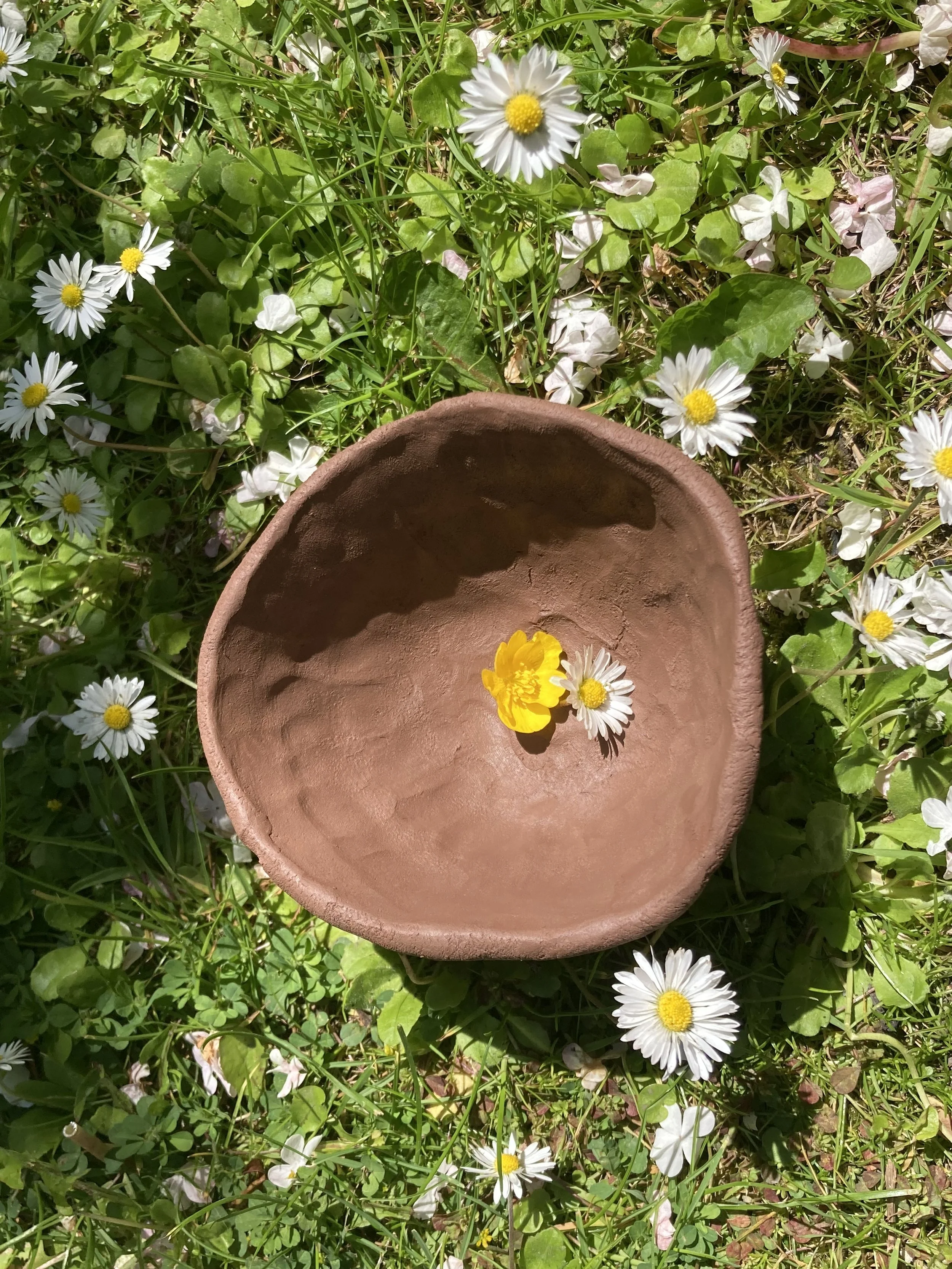 Pinch pot with daisies in the garden