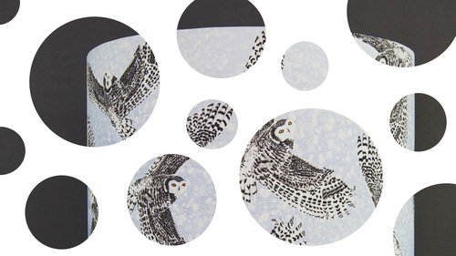 Lampshade by Blank Inside Design