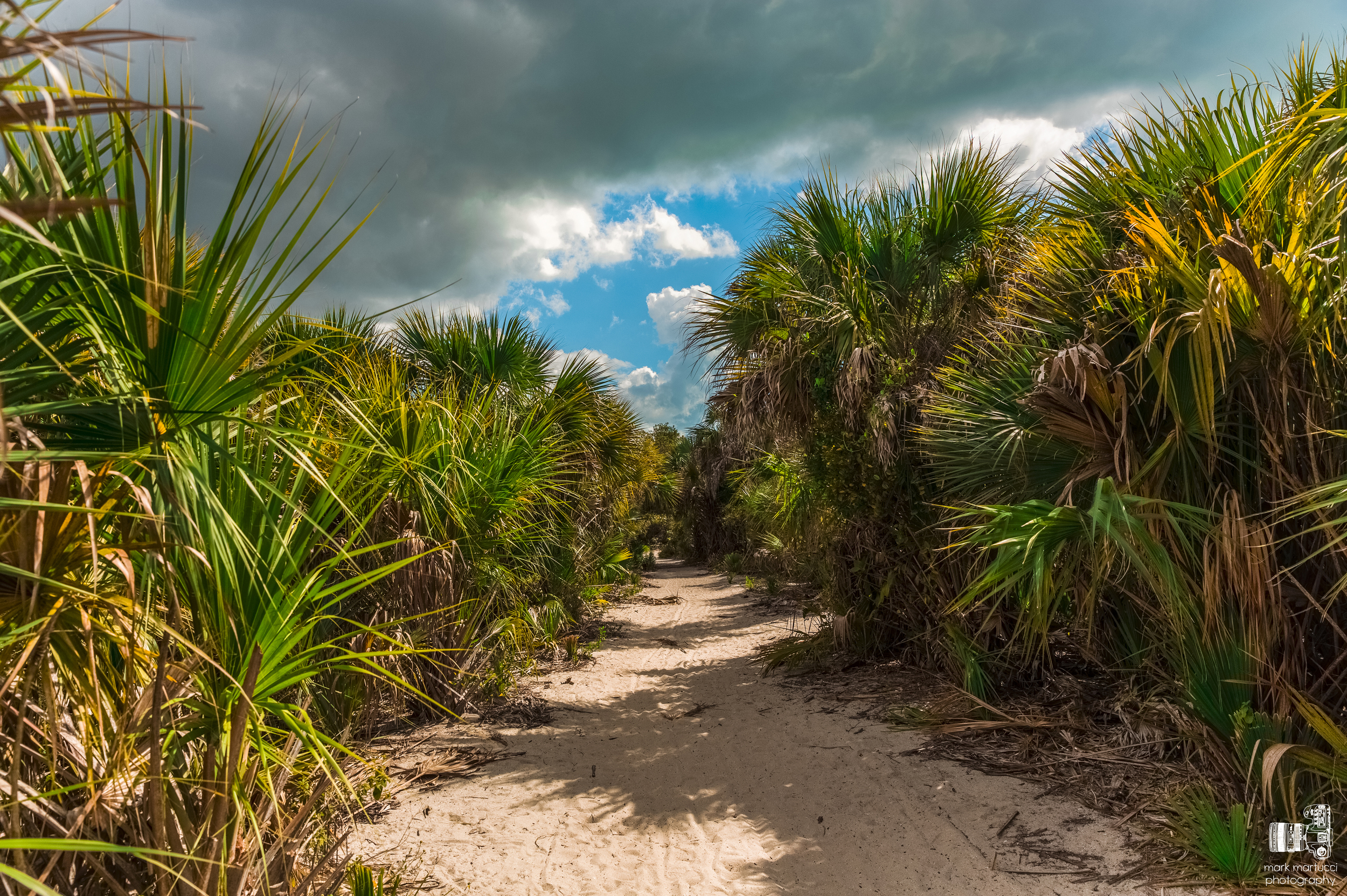 florida path.jpg