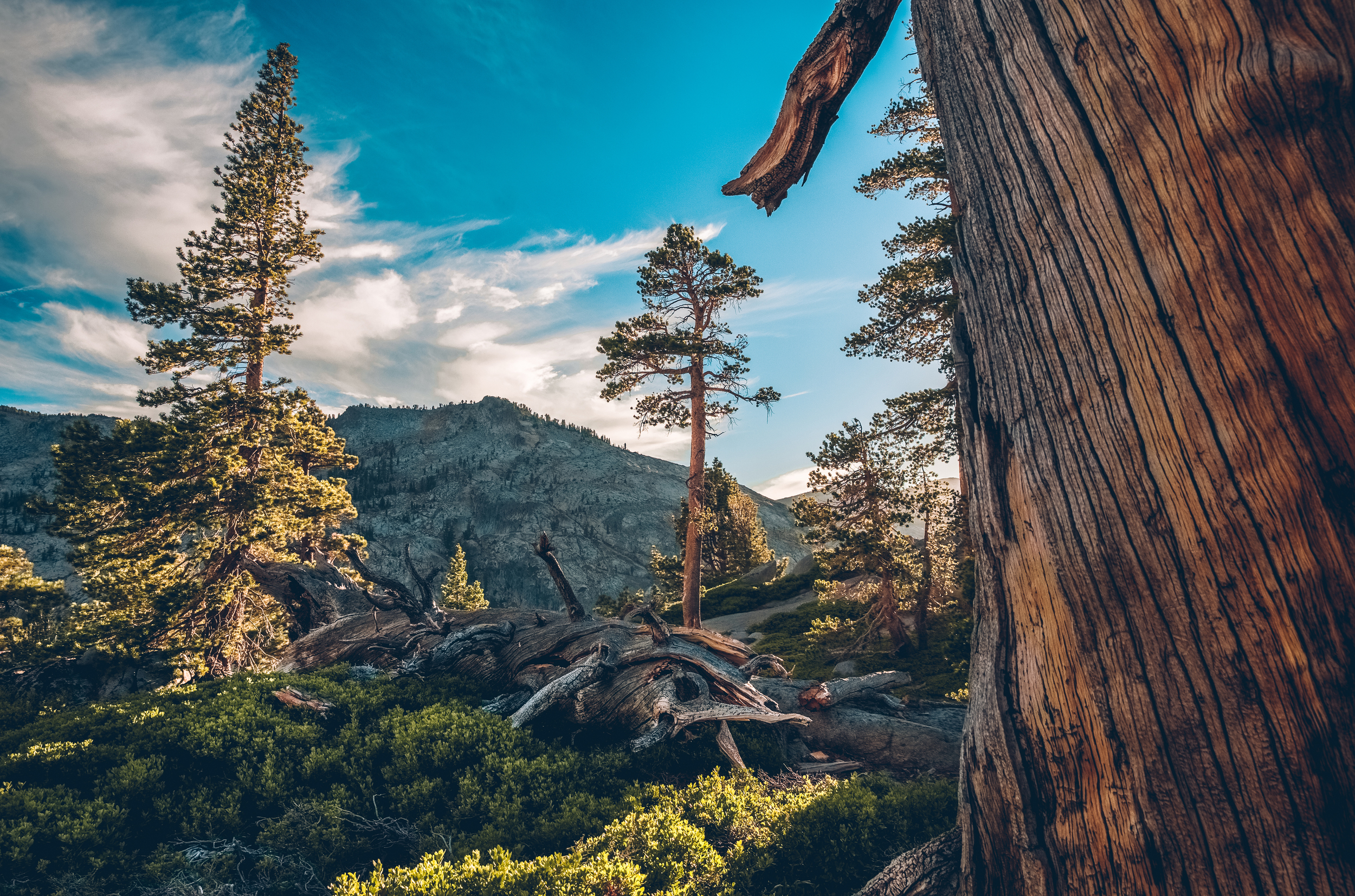 desolation wilderness (14).jpg