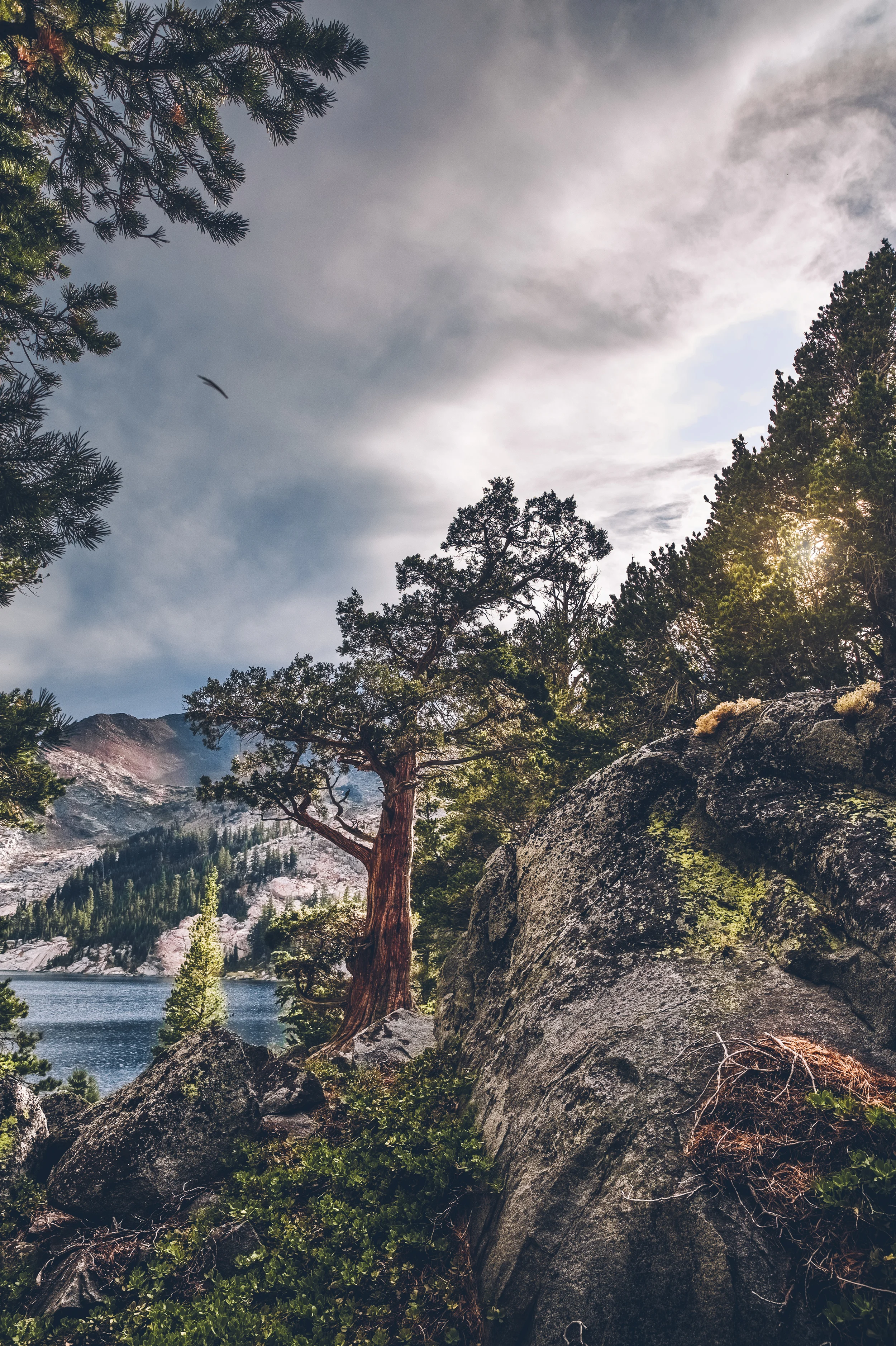 desolation wilderness (4).jpg