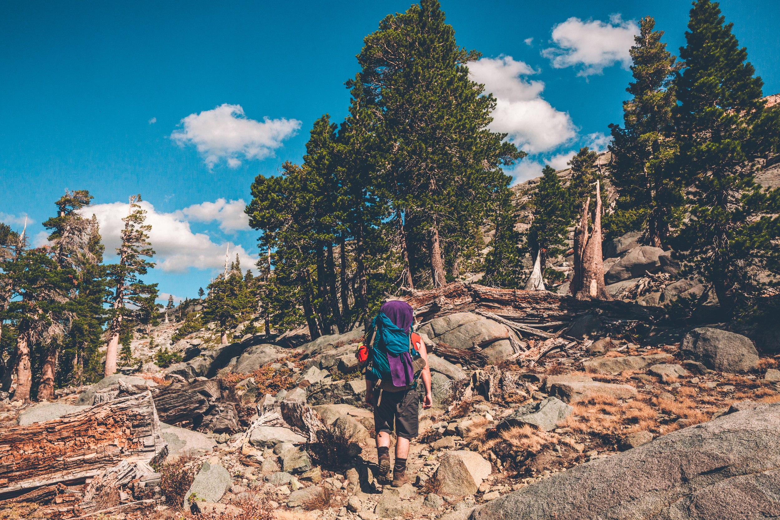 desolation wilderness (90).jpg