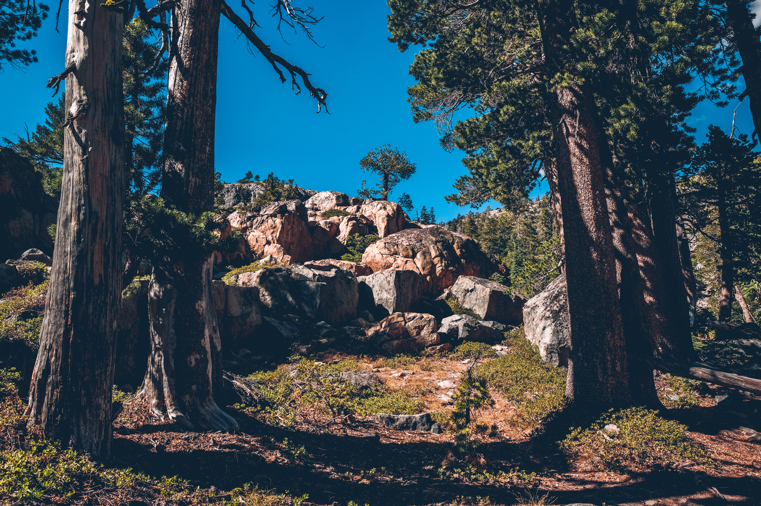 desolation wilderness (22).jpg