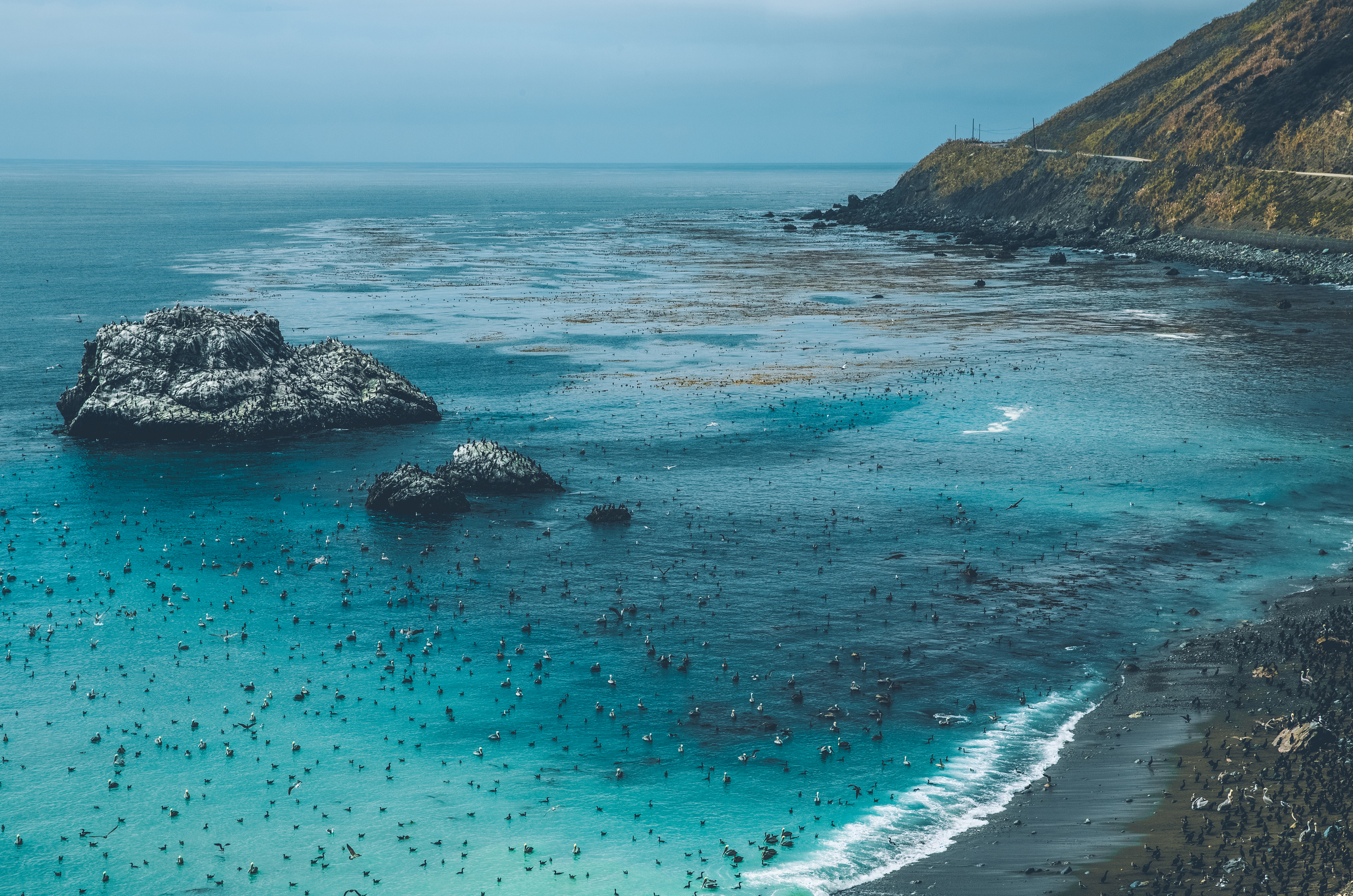 big sur 15.jpg