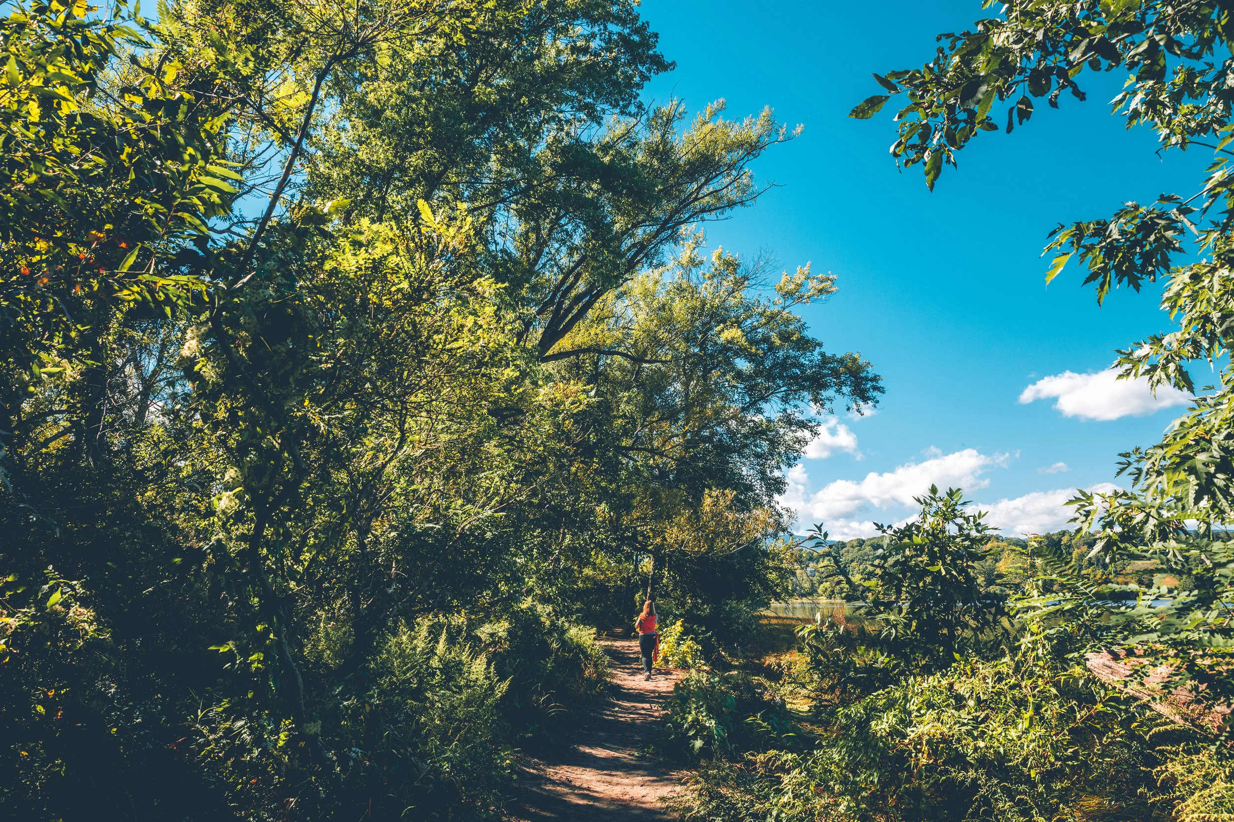 catskills 2016 (54).jpg