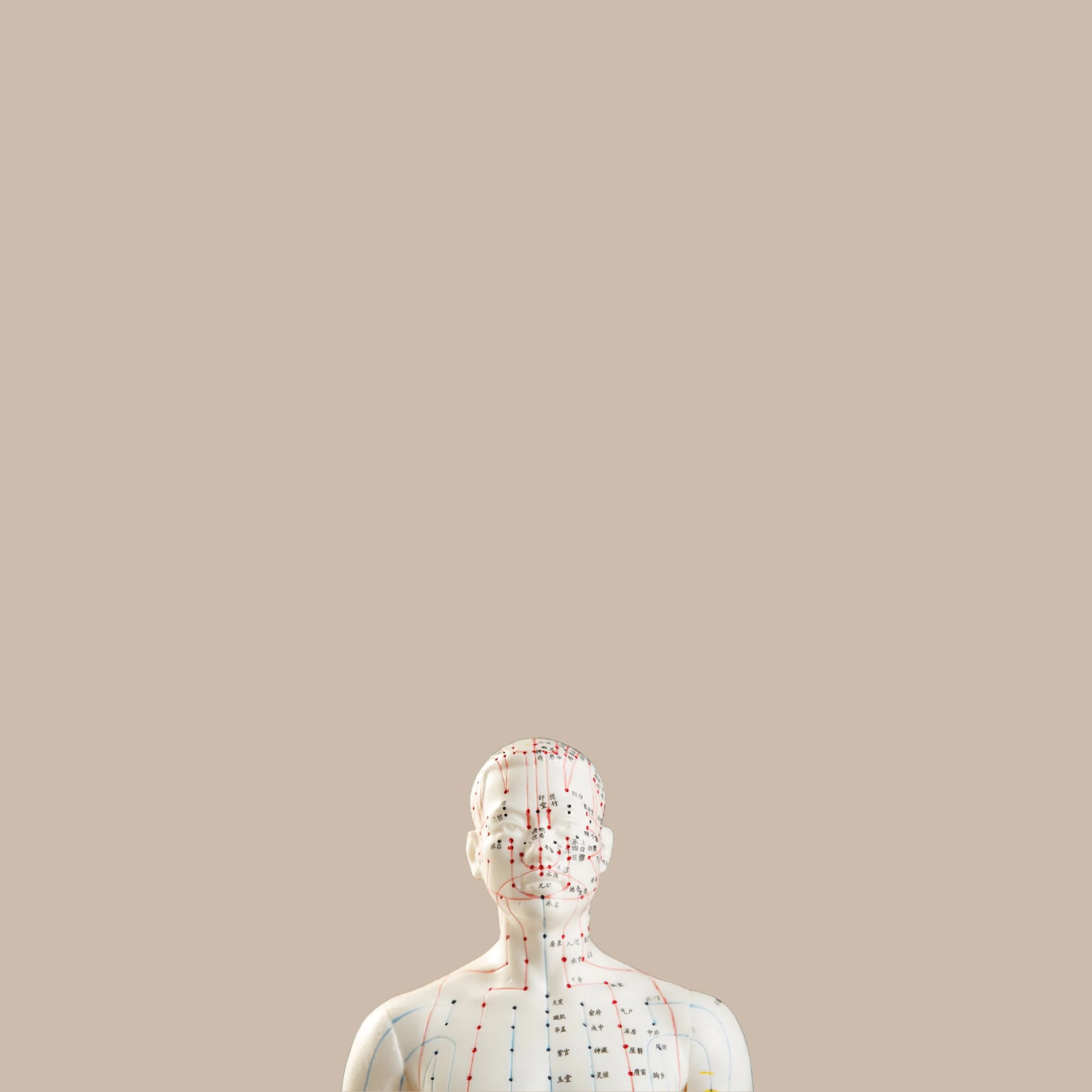 NAlanding page.jpg