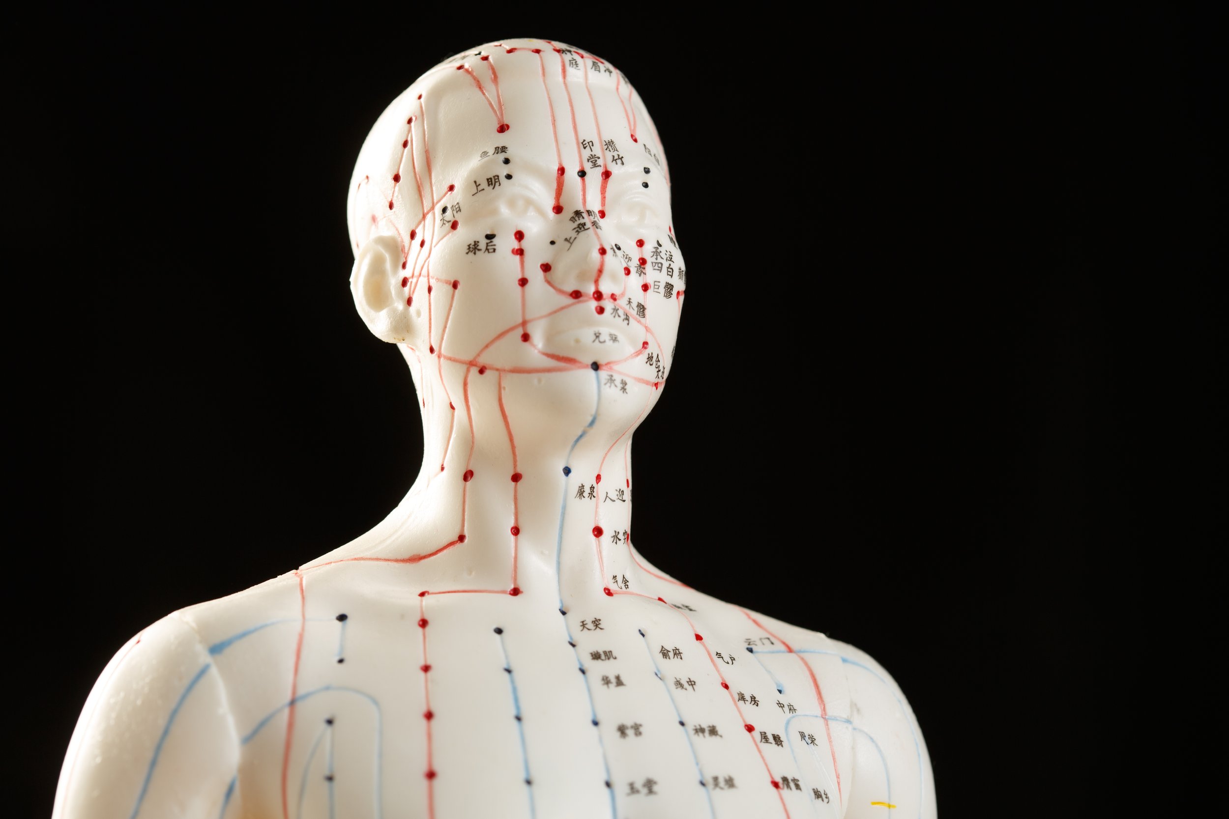 Florida College of Integrative Medicine Orlando School of Acupuncture